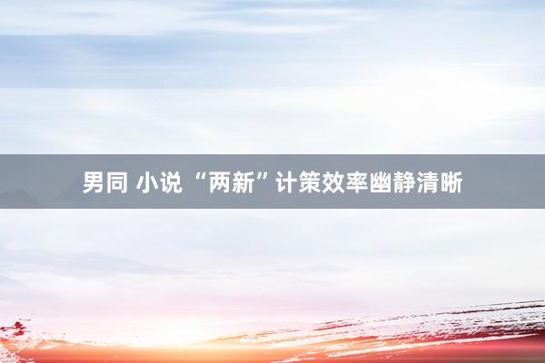 男同 小说 “两新”计策效率幽静清晰