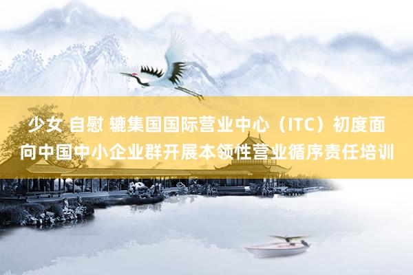 少女 自慰 辘集国国际营业中心（ITC）初度面向中国中小企业群开展本领性营业循序责任培训