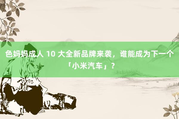 色妈妈成人 10 大全新品牌来袭，谁能成为下一个「小米汽车」？