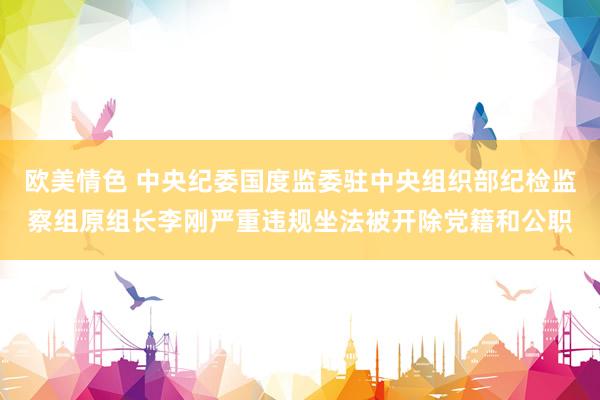 欧美情色 中央纪委国度监委驻中央组织部纪检监察组原组长李刚严重违规坐法被开除党籍和公职