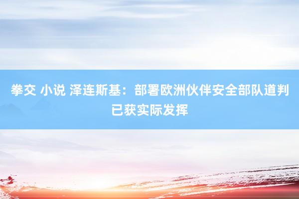 拳交 小说 泽连斯基：部署欧洲伙伴安全部队道判已获实际发挥