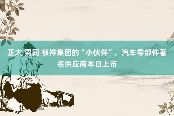 正太 男同 祯祥集团的“小伙伴”，汽车零部件著名供应商本日上市