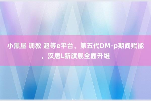 小黑屋 调教 超等e平台、第五代DM-p期间赋能，汉唐L新旗舰全面升维