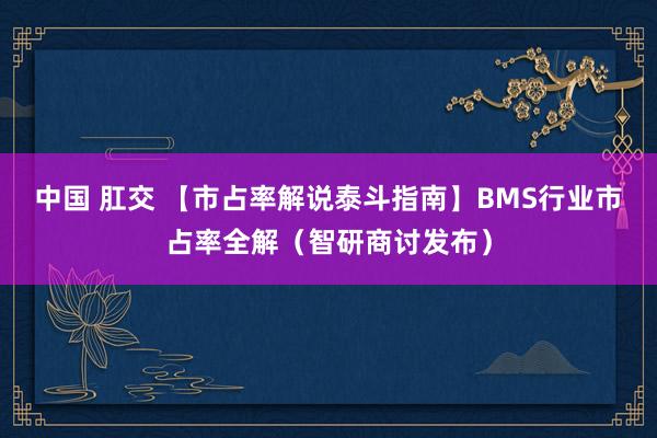 中国 肛交 【市占率解说泰斗指南】BMS行业市占率全解（智研商讨发布）