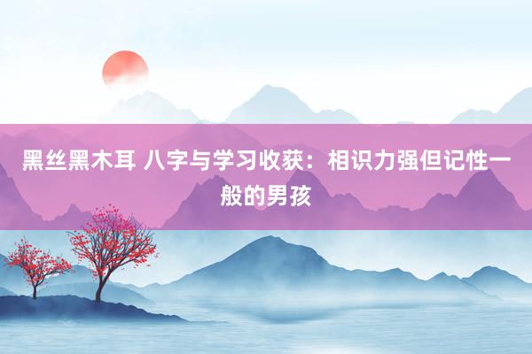 黑丝黑木耳 八字与学习收获：相识力强但记性一般的男孩